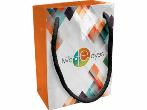 Ariel Gloss Gift Bag