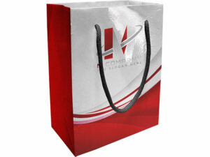 Shomi Gloss Gift Bag