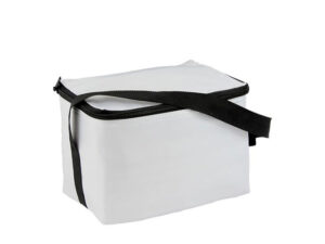 Bergen 6 Can Cooler