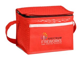 Brighton Non Woven 6-Can Cooler