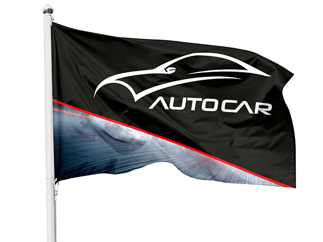 Champion Corporate Pole Flag 900Mm X 600 Mm
