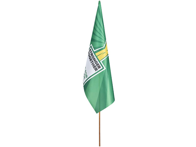 Champion Large Hand Flag 900Mm X 600Mm