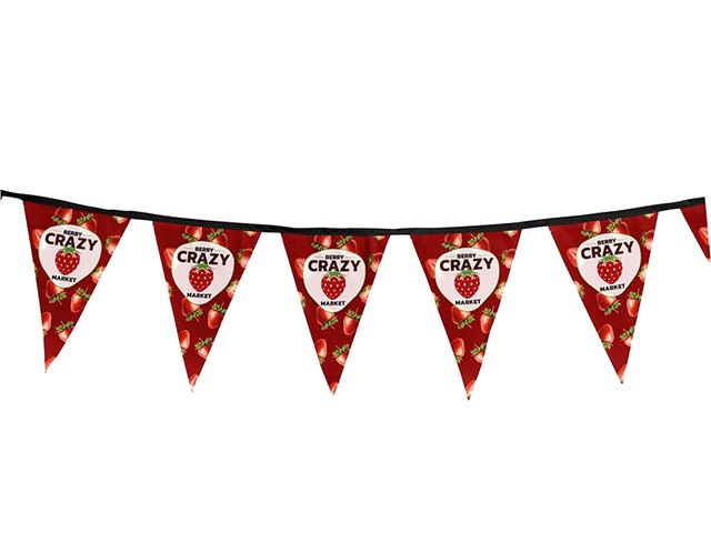 Sublimated Single-Sided Polyester Triangle Bunting 10m