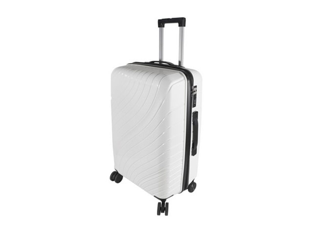 Jetsetter Check-In Luggage Bag-24-Inch